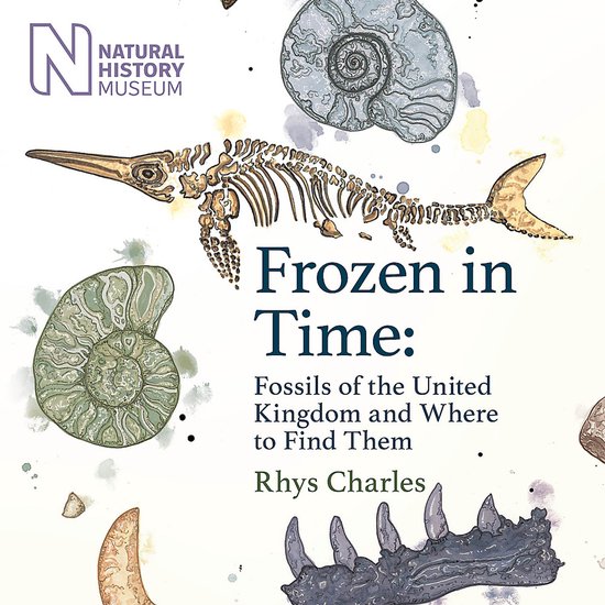 Frozen in Time - cover