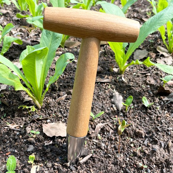 1-delig - Tuinperforator - T-vormig - geschikt voor bemesten, planten, groentezaden, verplanten, planten, ponsen en zaaien - houten handvat - zilver van Merkloos	 — afbeelding 5