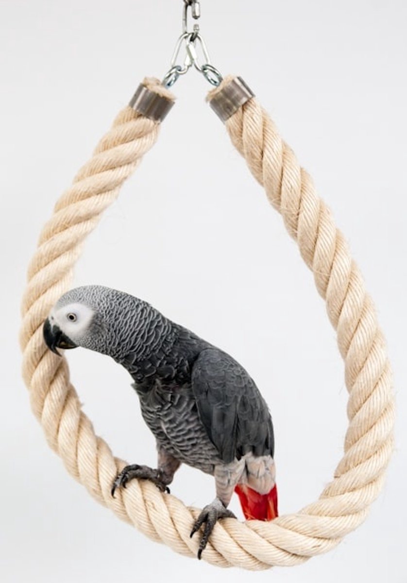 Speeltouw voor papegaaien – Zit- en speelplezier in één - Speeltouw 1 meter - Zittouwen / Speeltouwen - Vogelspeelgoed - Benodigdheden