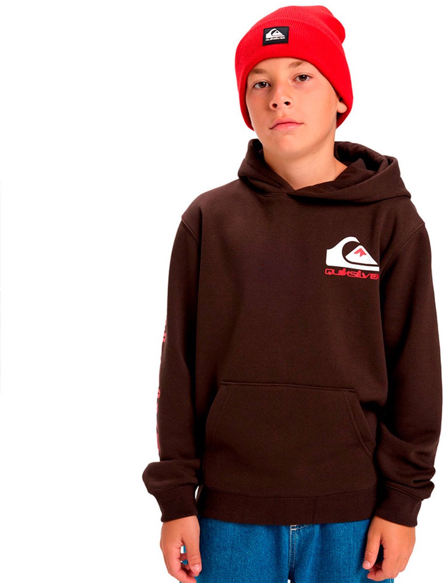 Quiksilver Omni Logo Hoodie 12 Years Jongens Bruin