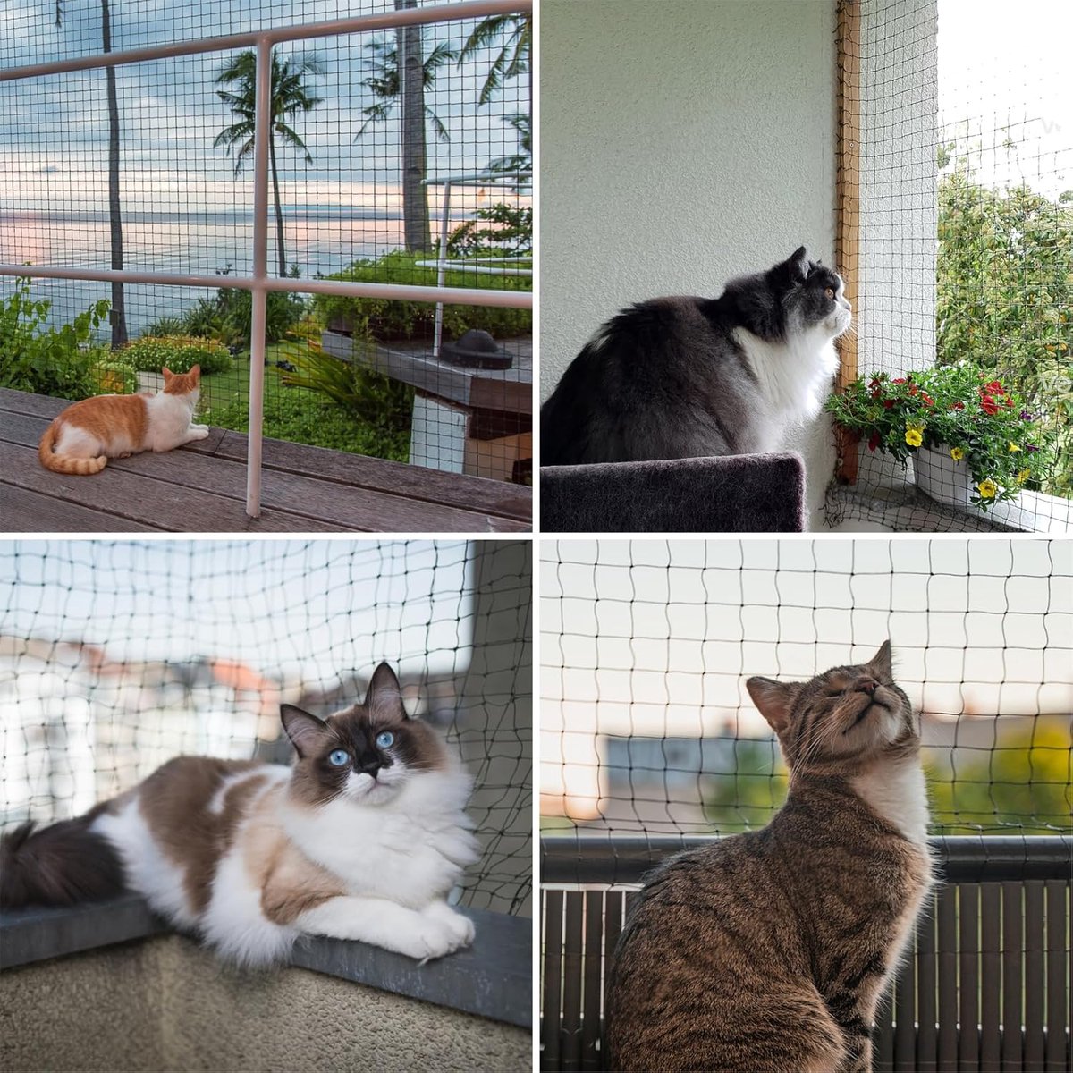 Beeztees Voor Balkon - Kattennet - Transparant - 300x400x8.4 cm