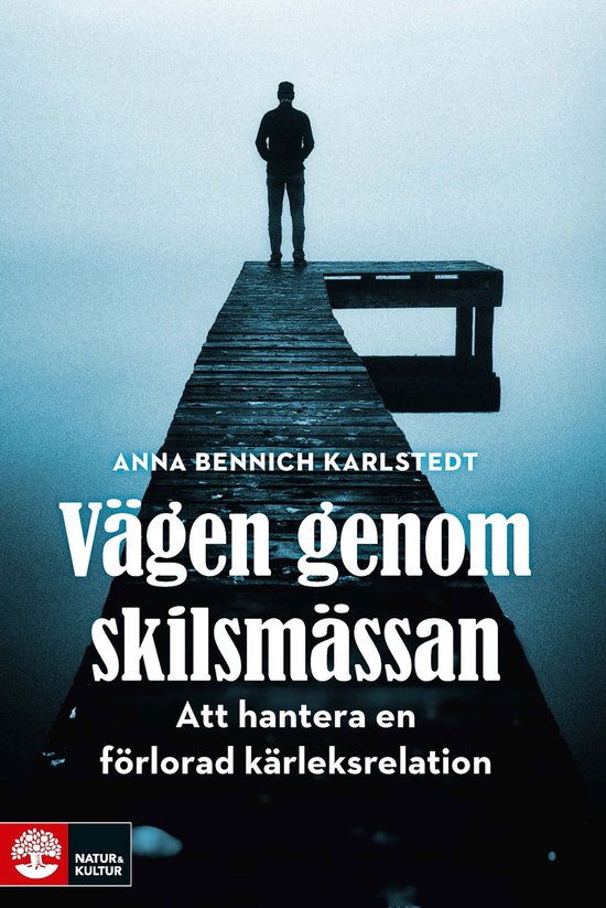 Vägen genom skilsmässan : att hantera en förlorad kärlek ... - cover
