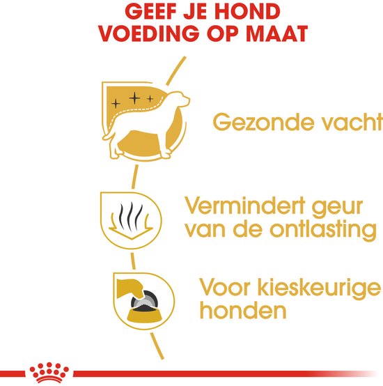 Uitleg over op maat gemaakte voeding voor honden: gezonde vacht, vermindert geur en voor kieskeurige honden.