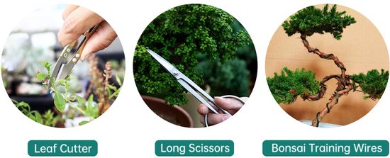 Bonsai Gereedschapset - 16-delig - Met 4 scharen, 3 snijgereedschappen, 1 haak, 1 hark, 1 bezem, 5 draden — afbeelding 2