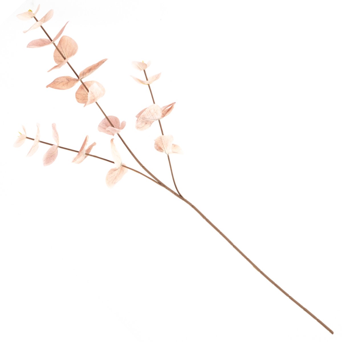 HomeBound by KY | Eucalyptus tak roze | Eucalyptus | Eucalyptus tak | kunsttak