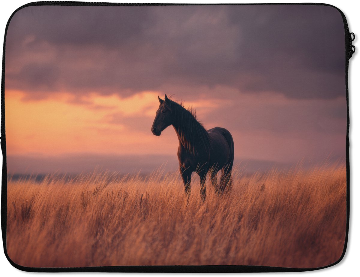 Laptophoes 15.6 inch - Paard - Wolken - Open veld - Laptop sleeve - Binnenmaat 37x26 cm - Zwarte achterkant