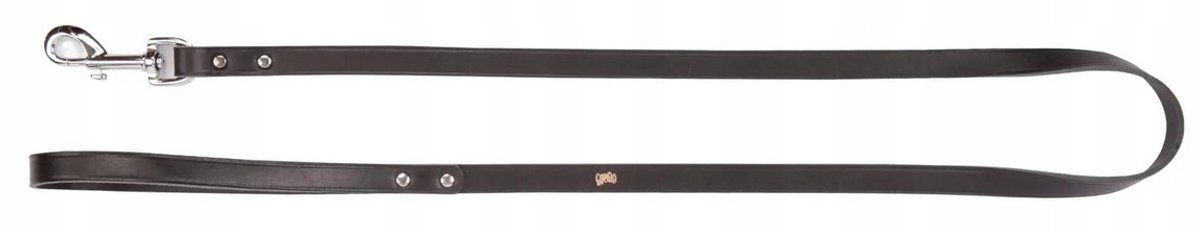 DINGO Leren Hondenhalsband - Zwart, 1cm x 120cm, Geniet met Klinknagels