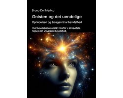 Gnisten og det uendelige. Oprindelsen og årsagen til al bevidsthed.