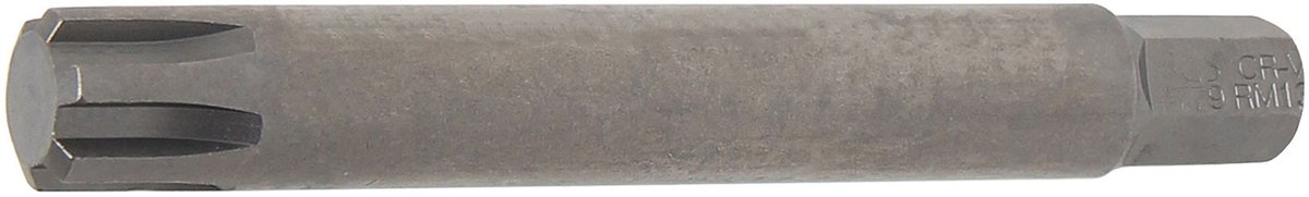 BGS bitlengte 100 mm aandrijving buitenzeskant 10 mm (3/8") ...