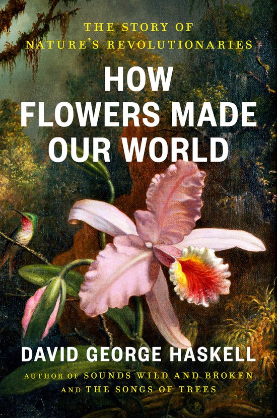 How Flowers Made Our World - cover