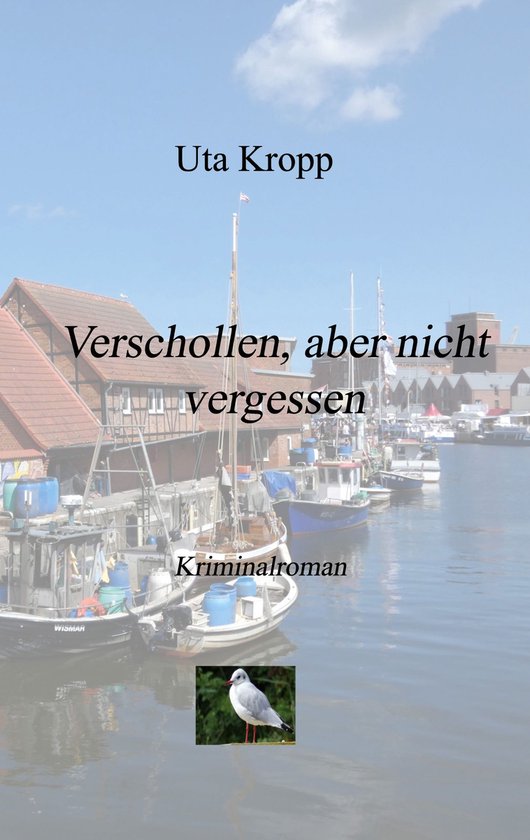 Verschollen, aber nicht vergessen - cover