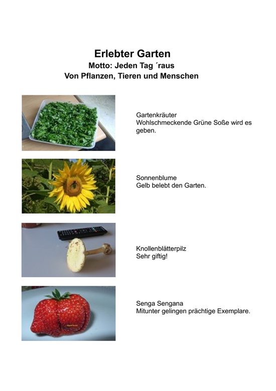 Erlebter Garten - cover