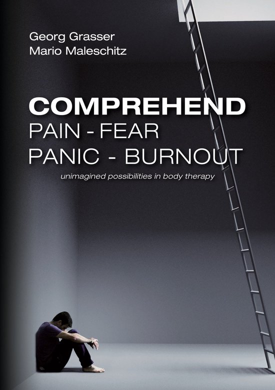 Comprehend Pain-Fear-Panic-Burnout - cover