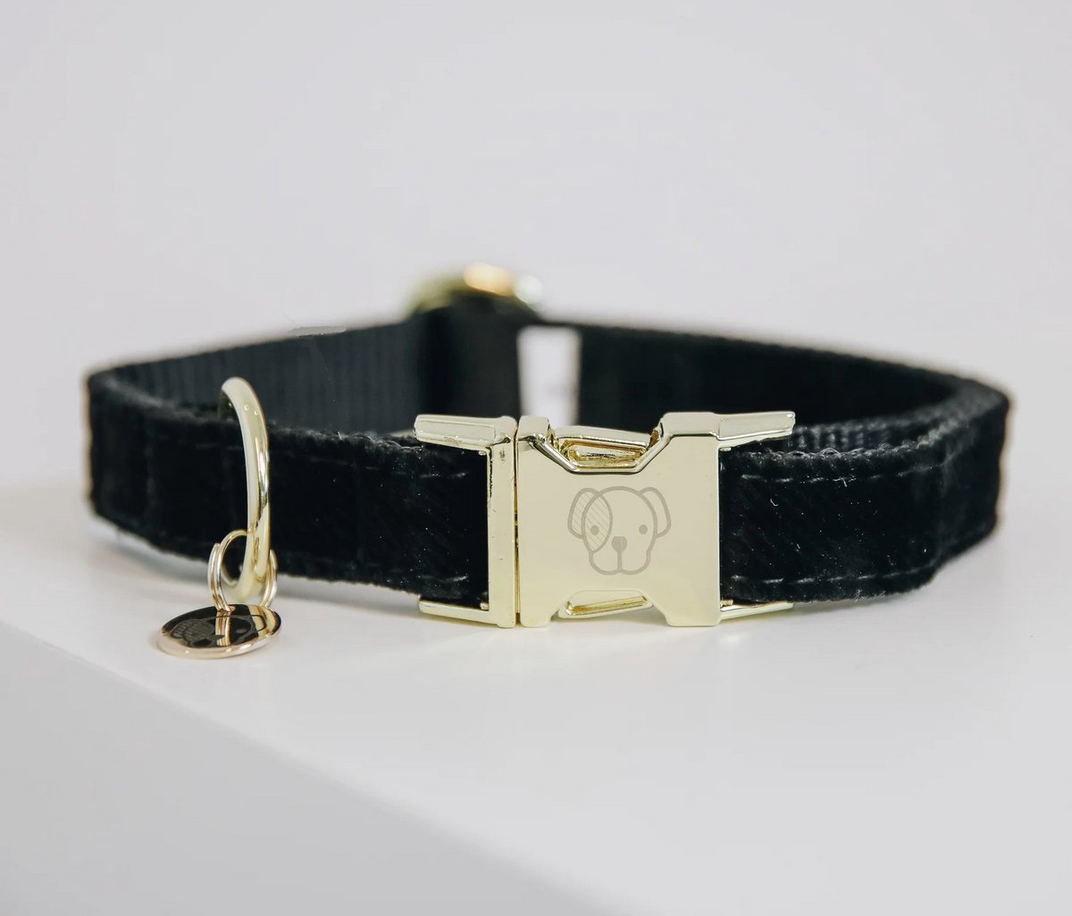 KENTUCKY Corduroy Halsband / Hondenhalsband - Microvezel - Zwart - M - Nekomtrek: 36 - 52 cm (GELIEVE ALVORENS BESTELLEN OPMETEN)