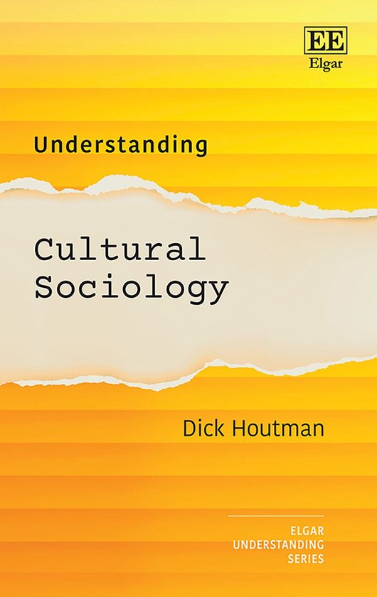 Understanding series - Understanding Cultural Sociology - cover