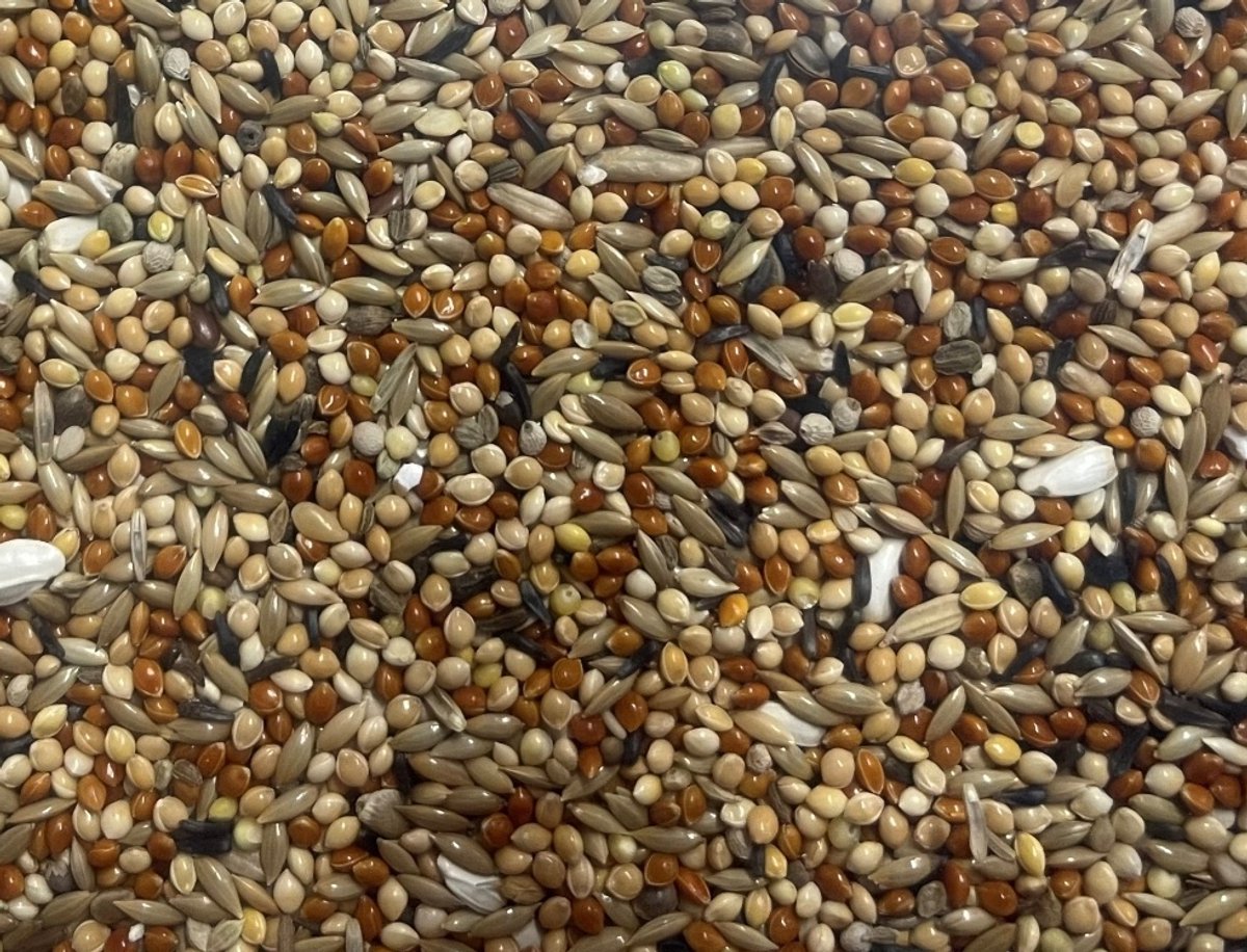 Twa Twa voer van Slaats – gezond & uitgebalanceerd - Twa Twa mengeling 5 kilo - Himbergen - Vogelvoer - Vogelzaad