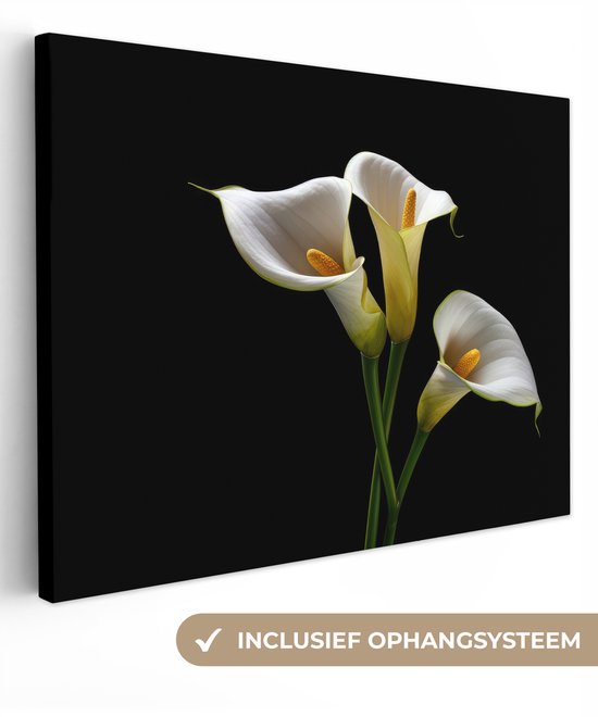Canvas schilderij 80x60 cm - Wanddecoratie Planten - Bloemen - Wit - Natuur - Botanisch - Muurdecoratie woonkamer - Slaapkamer decoratie - Kamer accessoires - Schilderijen op canvas