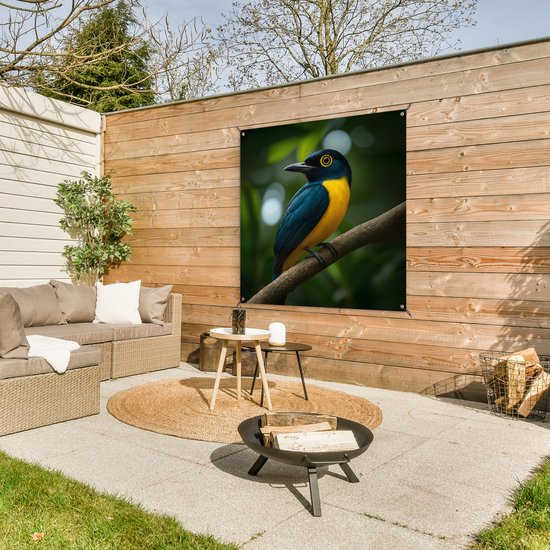 Affiche de jardin 100x100 cm - Décoration de jardin Vogel - Branche - Jaune - Feuilles - Affiche pour le jardin - Décoration extérieure - Tableau de jardin clôture - Décoration murale sur toile de jardin - Décoration murale sur toile de balcon