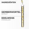 Tube à essai avec extrait de racine de gingembre et cellules souches d'edelweiss.