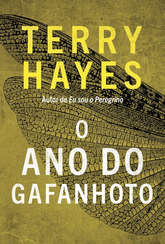 O ano do gafanhoto - cover