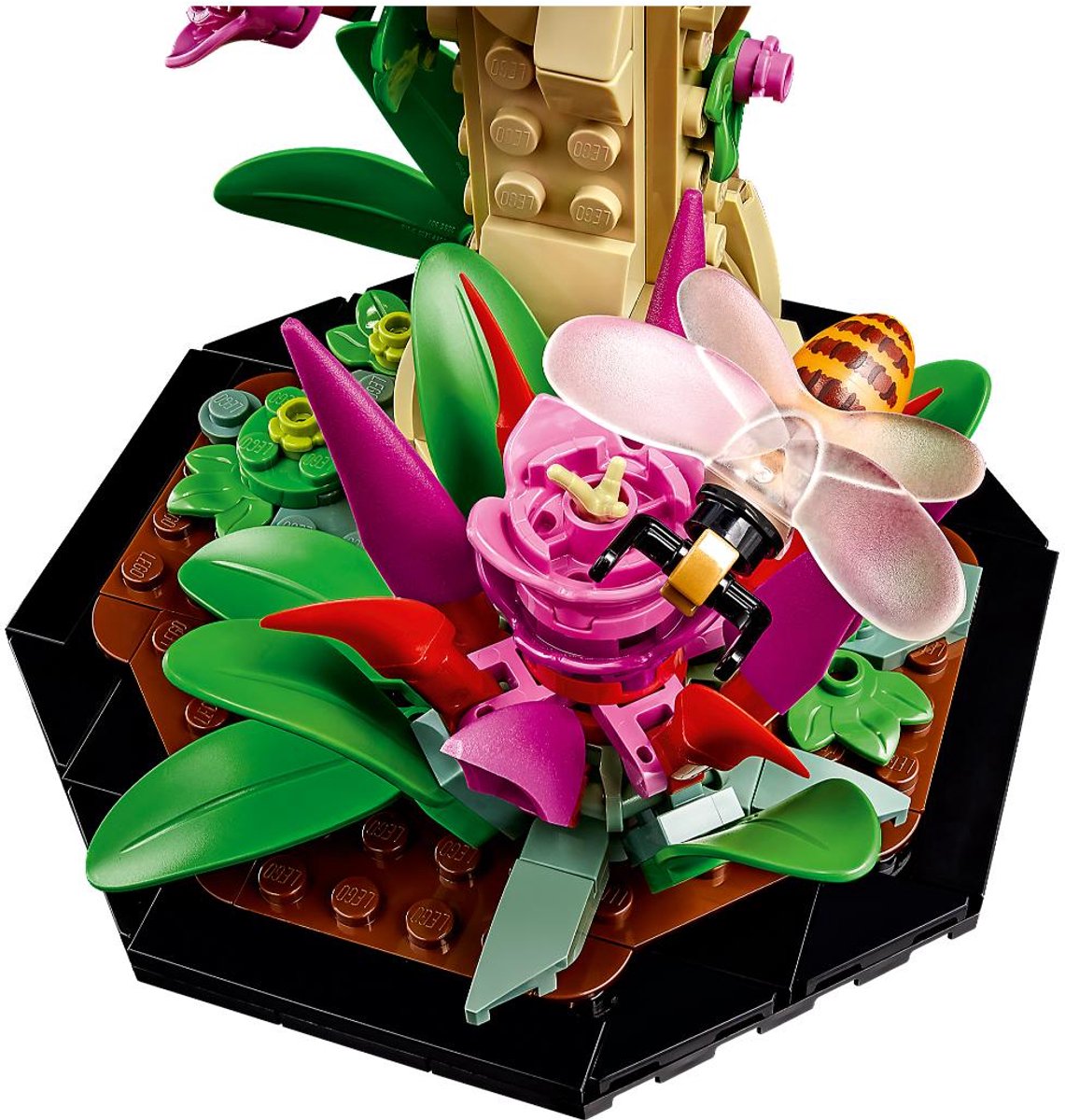 LEGO Ideas De Insectencollectie - 21342 — afbeelding 19