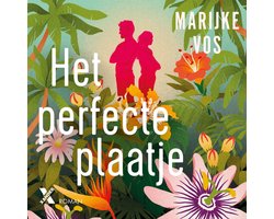 Omslag van Het perfecte plaatje