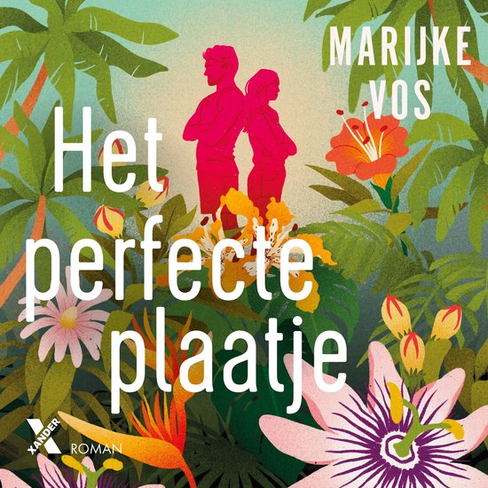 Het perfecte plaatje - cover