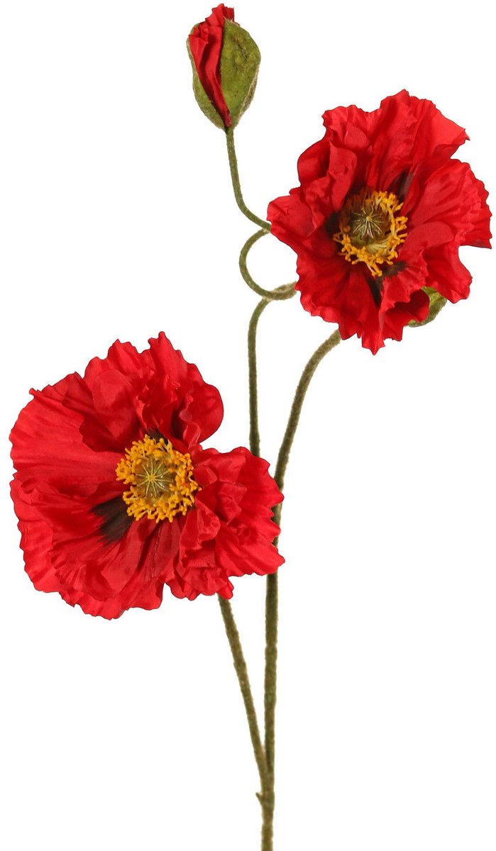 Top art - Papaver Meadow met 2 grote bloemen dia. 13/ 11 cm & 1 gr...