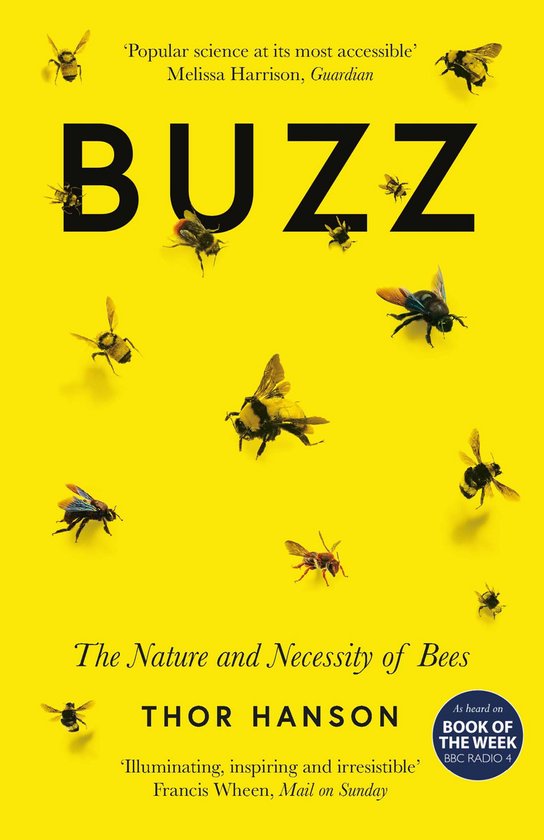 Buzz - cover