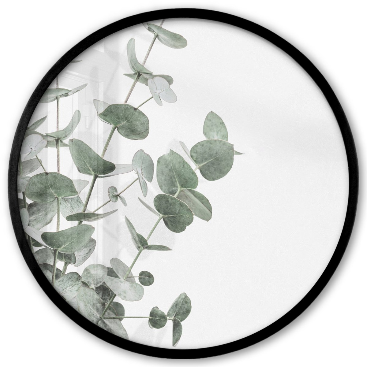FrameYourWall Poster in lijst Rond - Fotolijst 40x40 cm - Posters - Eucalyptus - Bladeren - Natuur - Groen - Ronde posterlijst zwart - Decoratie - Wanddecoratie woonkamer - Muurdecoratie slaapkamer Groen - Planten