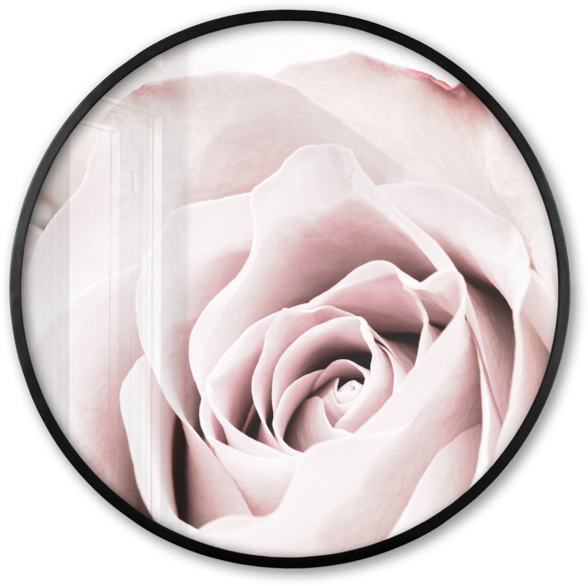 FrameYourWall Poster in lijst Rond - Fotolijst 80x80 cm - Posters - Bloemen - Roos - Roze - Botanisch - Ronde posterlijst zwart - Decoratie - Wanddecoratie woonkamer - Muurdecoratie slaapkamer Liefde - Rozen