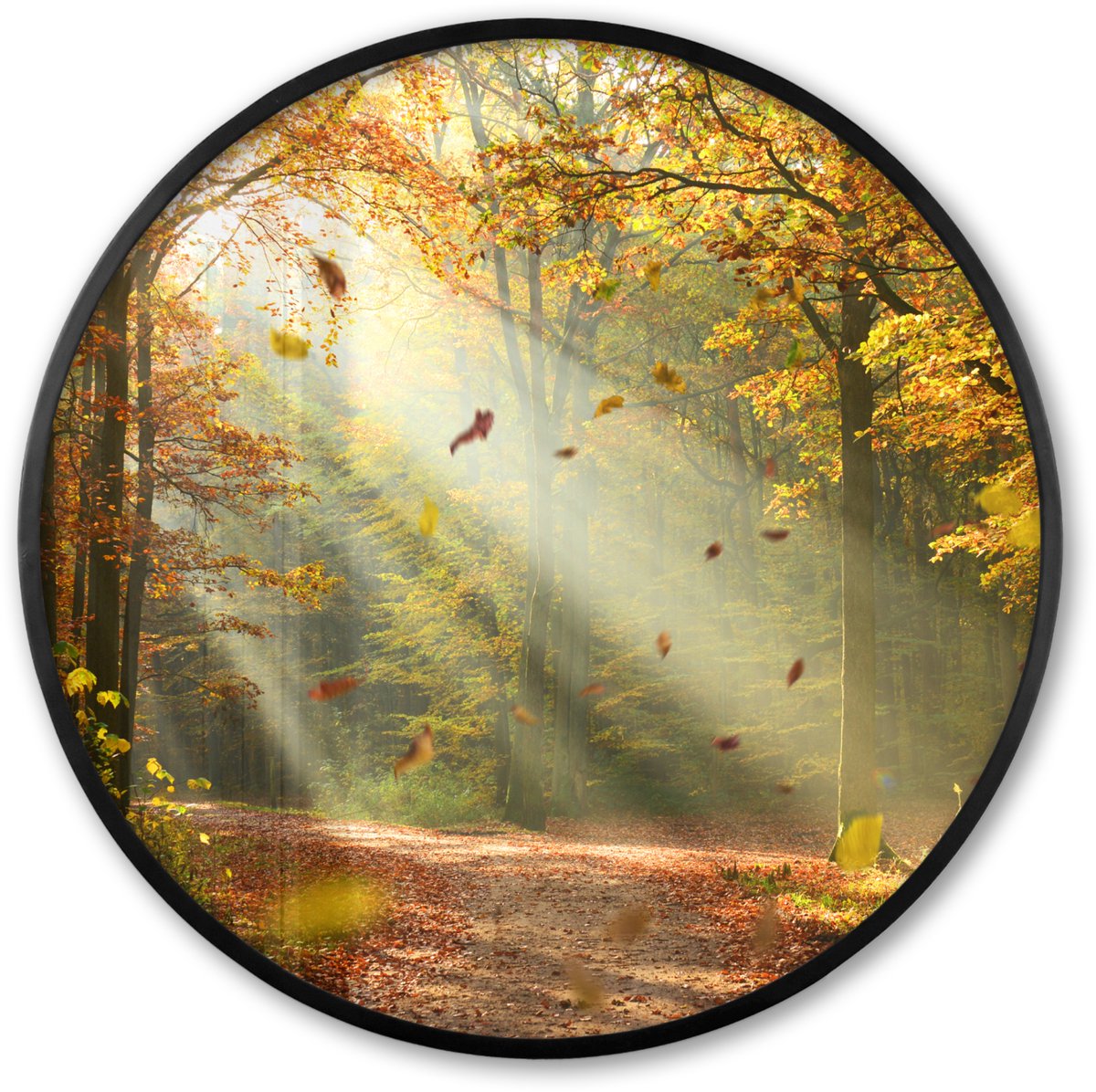 FrameYourWall Poster in lijst Rond - Fotolijst 60x60 cm - Posters - Bos - Bomen - Herfst - Zon - Herfstbladeren - Natuur - Ronde posterlijst zwart - Decoratie - Wanddecoratie woonkamer - Muurdecoratie slaapkamer Groen