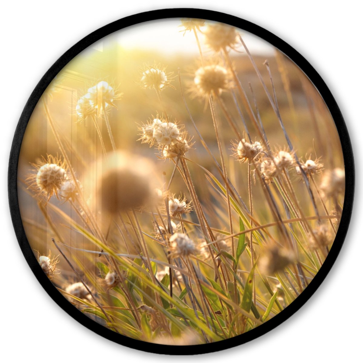 FrameYourWall Poster in lijst Rond - Fotolijst 40x40 cm - Posters - Planten - Natuur - Bloemen - Zon - Horizon - Ronde posterlijst zwart - Decoratie - Wanddecoratie woonkamer - Muurdecoratie slaapkamer