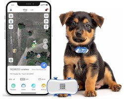 MMP® GPS Tracker kat - GPS Tracker - GPS Trackers - Zwart - 10cm x 10cm x 5cm