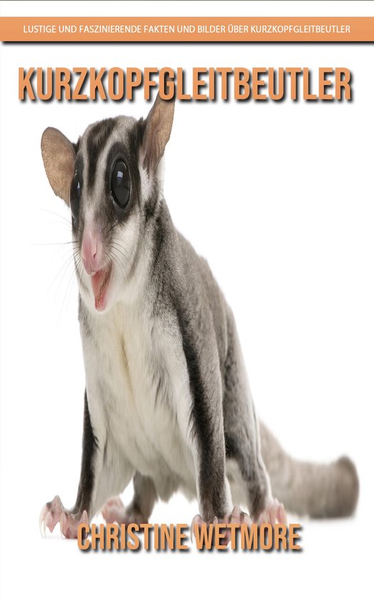 Kurzkopfgleitbeutler - Lustige und faszinierende Fakten und  ... - cover