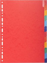 15x Tabbladen glanskarton 225g met geplastificeerde gekleurde tabs - 12 tabs - A4