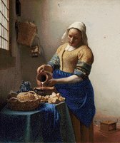 MyHobby Borduurpakket – Het Melkmeisje van Vermeer 50×60 cm - Aida borduurstof 5,5 kruisjes/cm (14 count) - Telpatroon - Borduurgaren - Borduurnaald - Handleiding - Voor Beginners & Gevorderden - Complete borduurset
