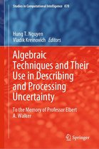 Studies in Computational Intelligence 878 - Algebraic Techniques and Their Use in Describing and Processing Uncertainty