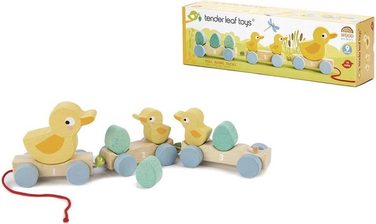 Houten Eenden Trein - Tender Leaf Toys - 18m+