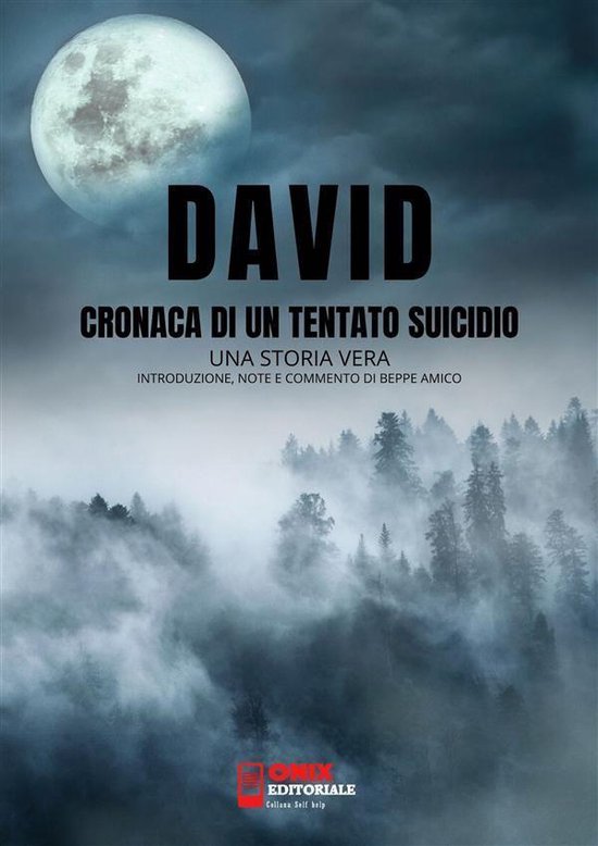 David, cronaca di un tentato suicidio - una storia vera - cover