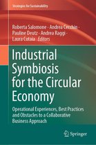 Strategies for Sustainability - Industrial Symbiosis for the Circular Economy