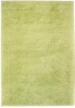 Vloerkleed shaggy hoogpolig 120x170 cm groen