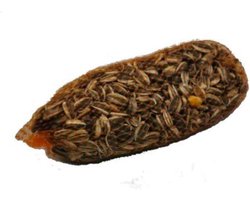 Zonnebloempitnetjes 60 stuks á 90 gram | Buitenvogelvoer | Netjes met zonnebloempitten