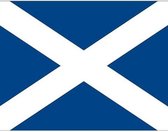 20x Binnen en buiten stickers Schotland 10 cm - Schotse vlag stickers - Supporter feestartikelen - Landen decoratie en versieringen