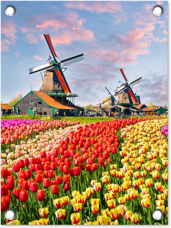 Tuin decoratie Molen - Tulpen - Bloemen - Regenboog - Hollands - 30x40 cm - Tuindoek - Buitenposter