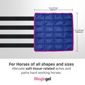 Pack de glace Horse – Enveloppements de jambes rafraîchissants pour jarrets, chevilles, genoux, jambes, Bottes femmes et sabots. (Twin Ice Boot, par Magic Gel)
