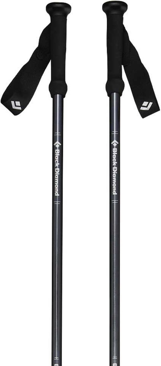 Black Diamond Explorer 2 Palen Zwart 90-130 cm
