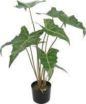 Alocasia Kunstplant 75cm | Alocasia Nepplant | Olifantsoor Kunstplant | Kleine Kunstplant voor Binnen