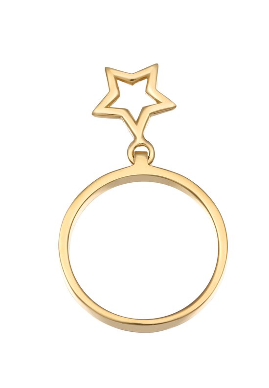 Gouden zegelring met witgouden ster en diamant 0.03 crt | Mostert Juweliers