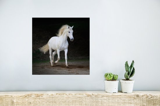 Affiche Paarden - Sable - Foncé - 30x30 cm